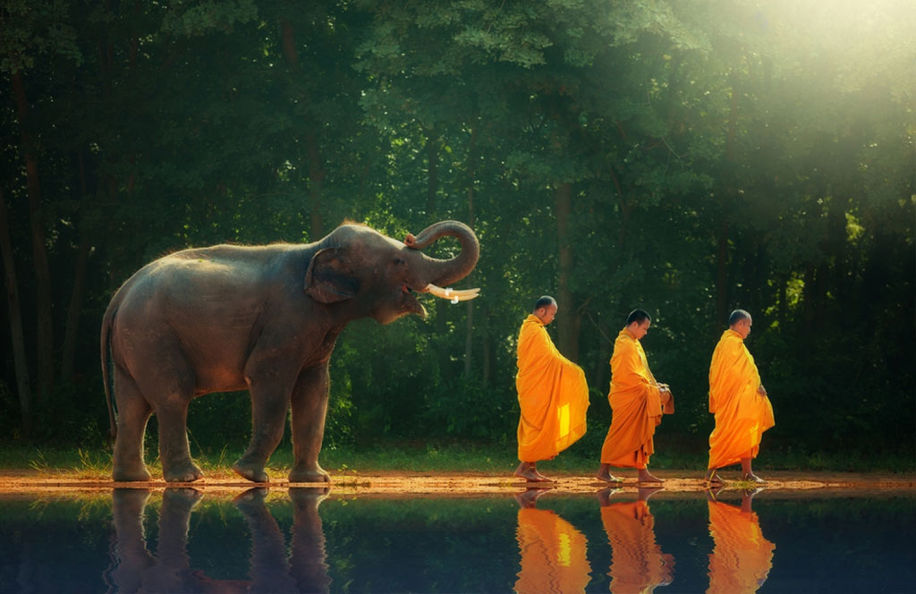 Elefantes y Budistas. Tailandia