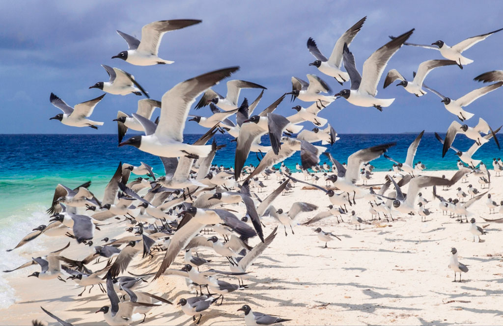 Los Roques - Venezuela