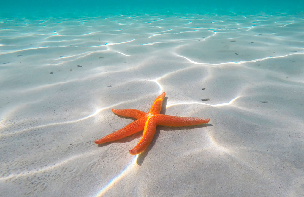 Los Roques - Venezuela